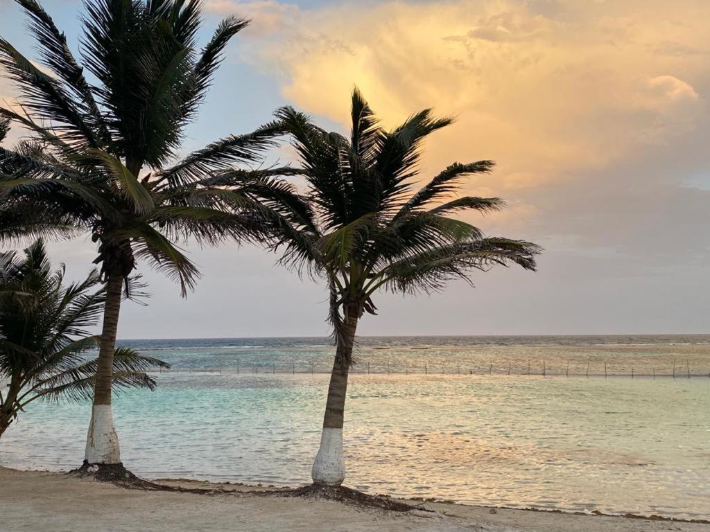Hotel Blue Reef Frente Al Mar Mahahual Exterior foto