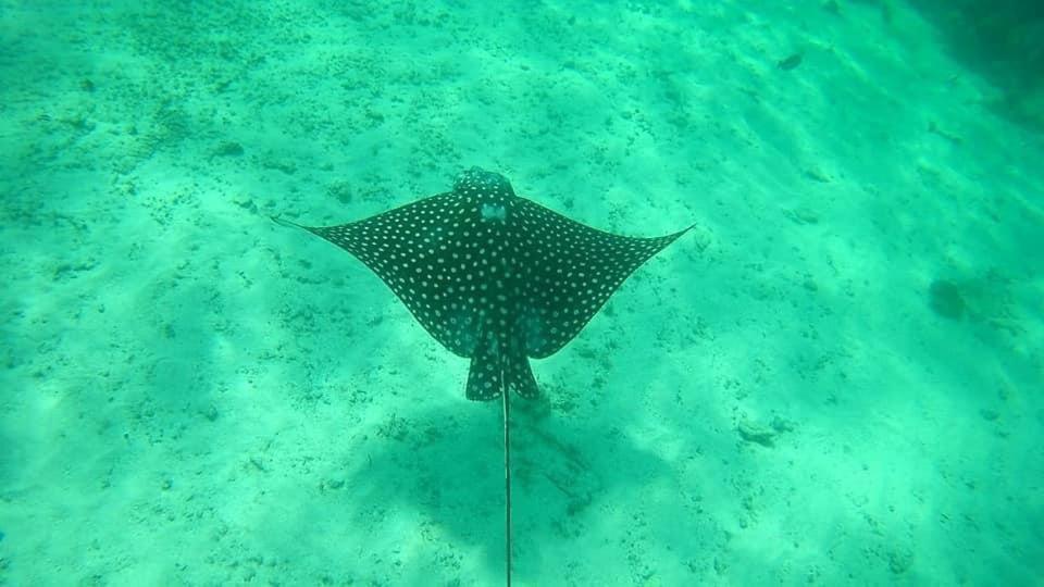 Hotel Blue Reef Frente Al Mar Mahahual Exterior foto
