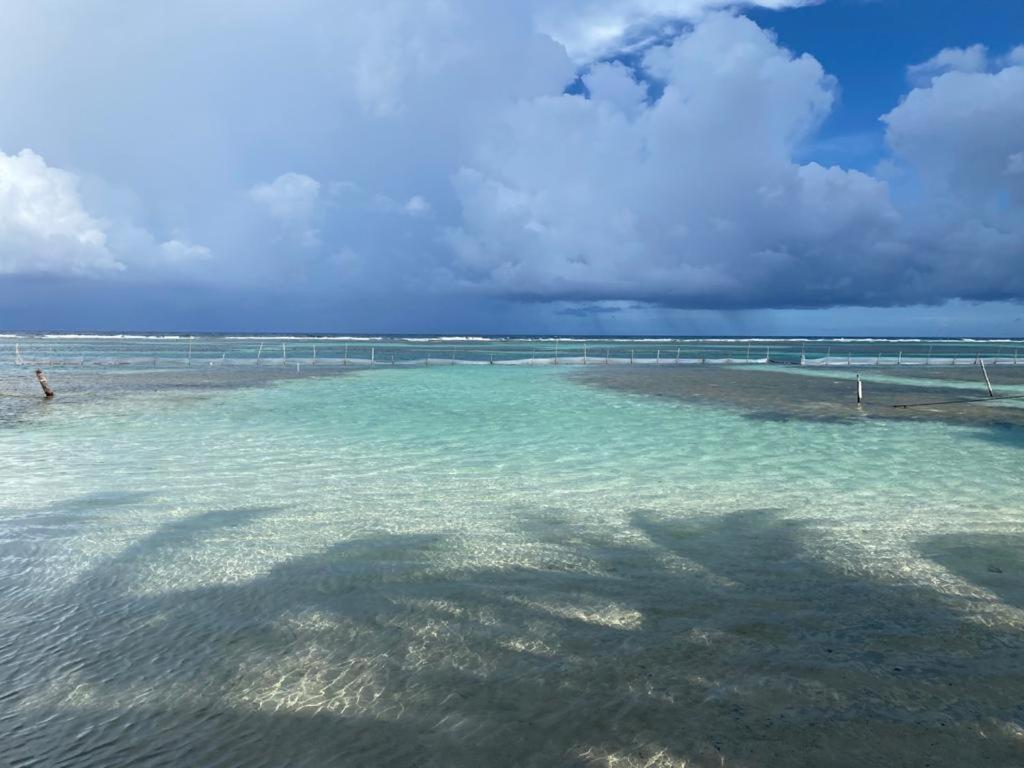 Hotel Blue Reef Frente Al Mar Mahahual Exterior foto